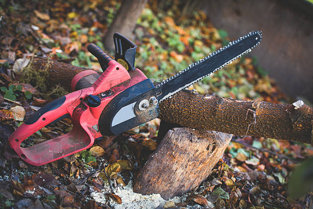 Mulching Services in Elk River, MN